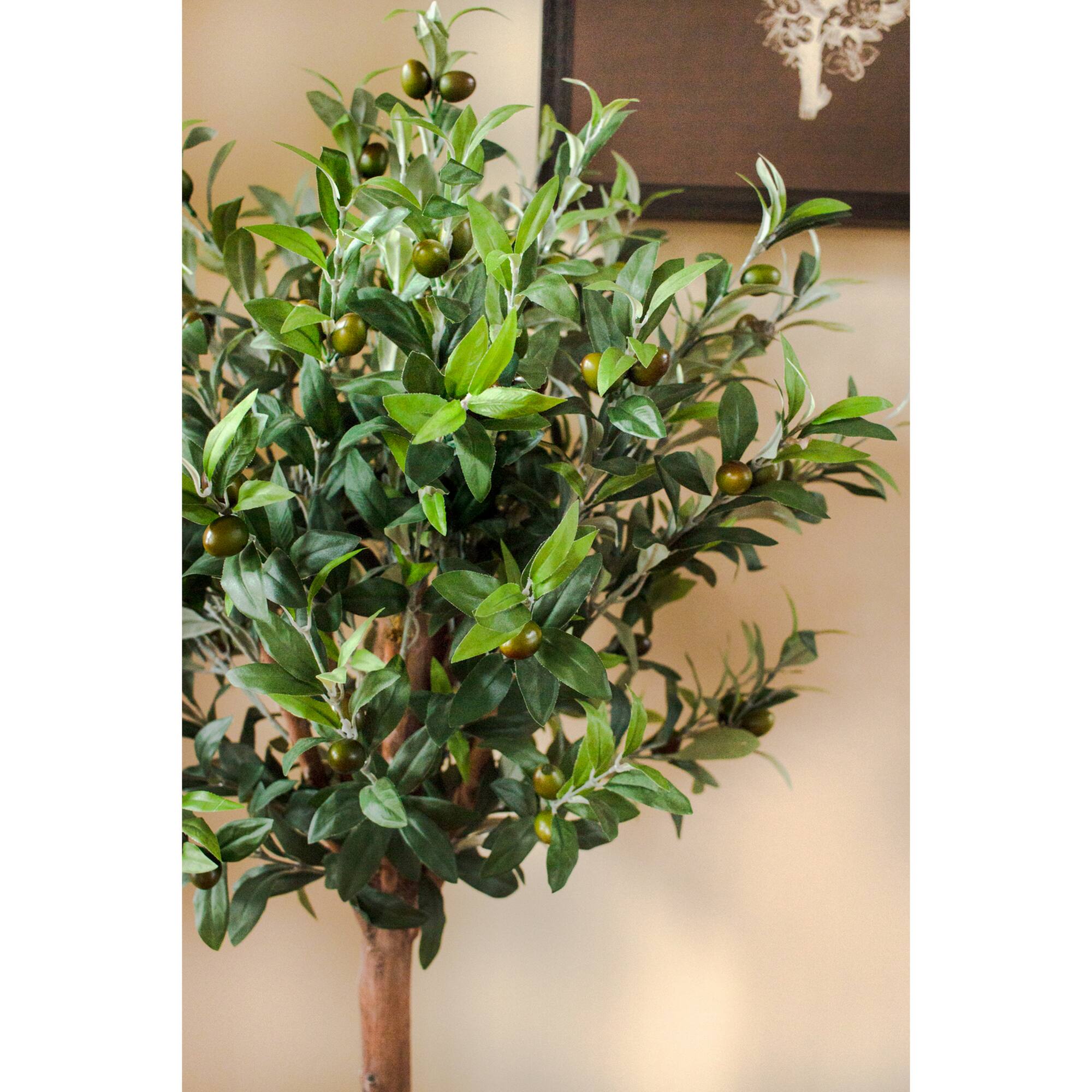 4.5ft. Olive Topiary Tree with Farmhouse Barrel Planter